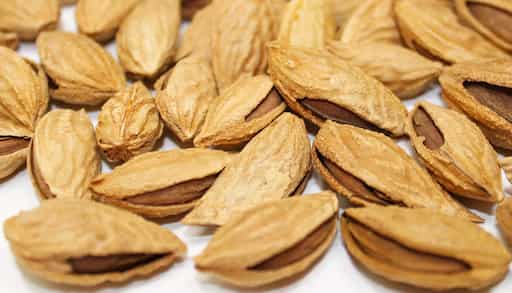 تصویر 3 از مغزبادام درختی بادرصد روغن 50 تا 60